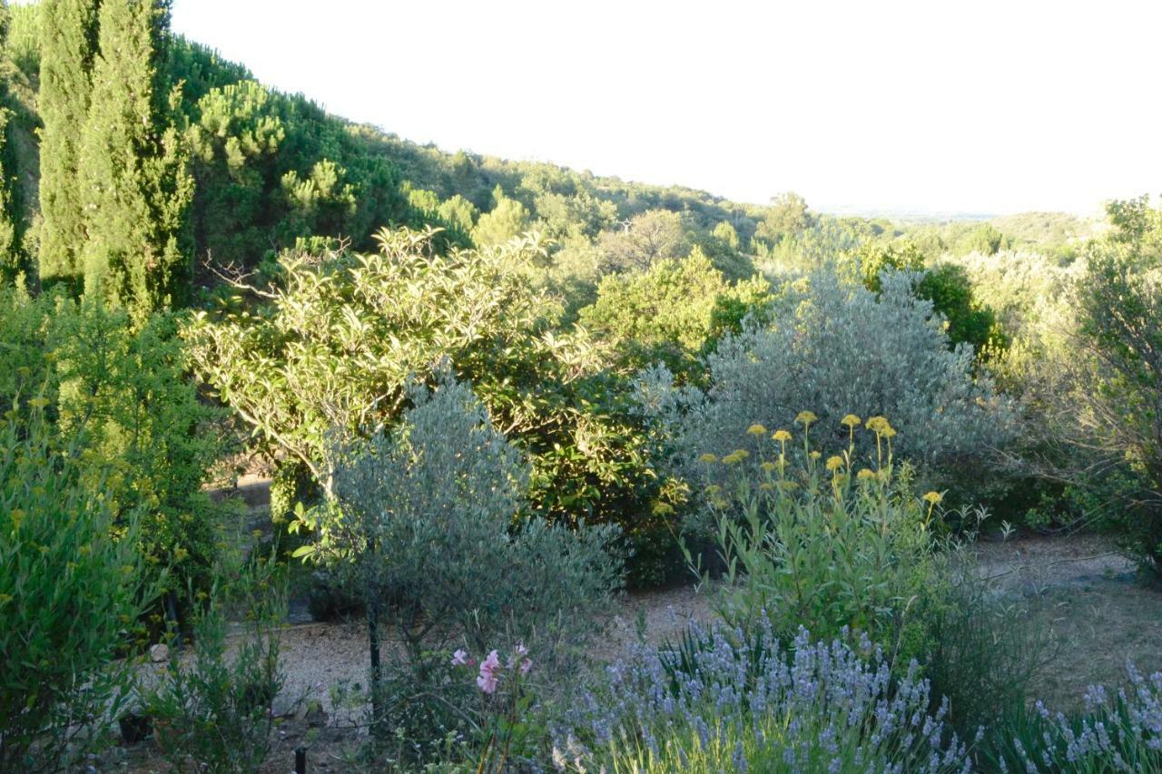 La Briardiere Camélas Exteriér fotografie